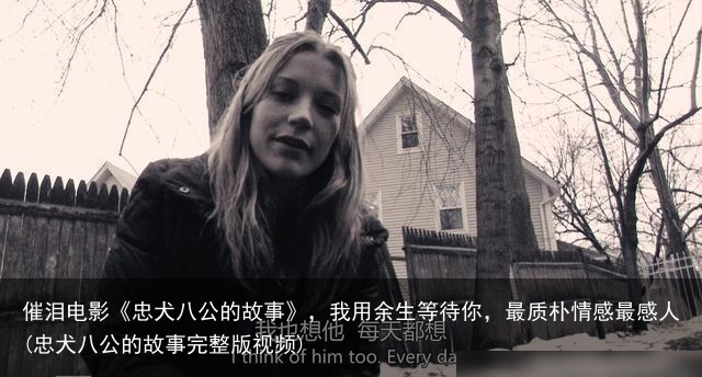 催泪电影《忠犬八公的故事》，我用余生等待你，最质朴情感最感人(忠犬八公的故事完整版视频)