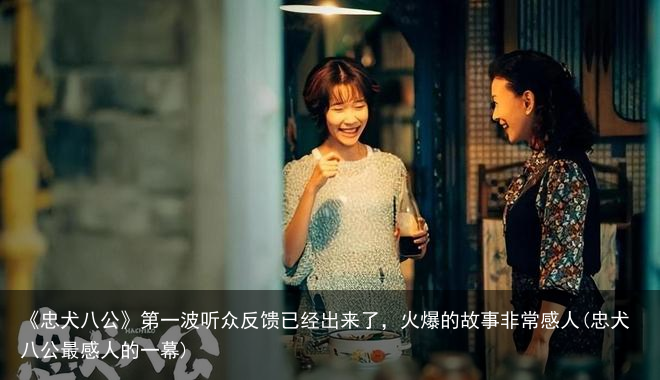 《忠犬八公》第一波听众反馈已经出来了，火爆的故事非常感人(忠犬八公最感人的一幕)