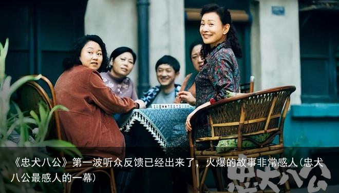 《忠犬八公》第一波听众反馈已经出来了，火爆的故事非常感人(忠犬八公最感人的一幕)