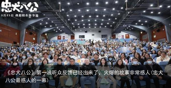 《忠犬八公》第一波听众反馈已经出来了，火爆的故事非常感人(忠犬八公最感人的一幕)