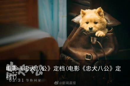 电影《忠犬八公》定档(电影《忠犬八公》定档l)