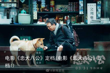 电影《忠犬八公》定档(电影《忠犬八公》定档l)
