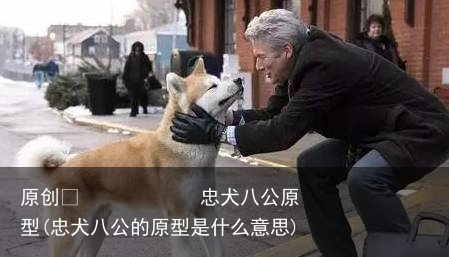 忠犬八公原型(忠犬八公的原型是什么意思)