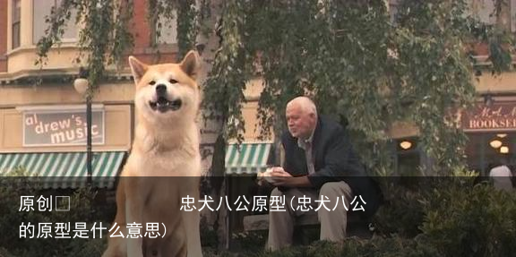 忠犬八公原型(忠犬八公的原型是什么意思)