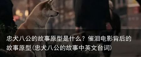 忠犬八公的故事原型是什么？催泪电影背后的故事原型(忠犬八公的故事中英文台词)