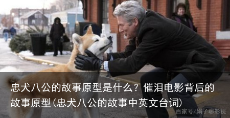 忠犬八公的故事原型是什么？催泪电影背后的故事原型(忠犬八公的故事中英文台词)