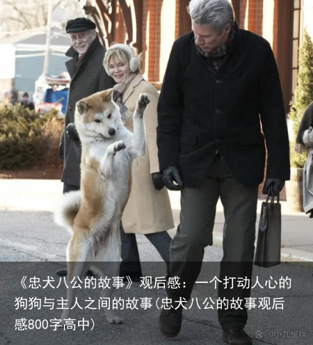 《忠犬八公的故事》观后感：一个打动人心的狗狗与主人之间的故事(忠犬八公的故事观后感800字高中)