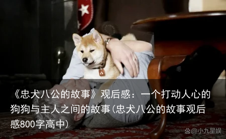 《忠犬八公的故事》观后感：一个打动人心的狗狗与主人之间的故事(忠犬八公的故事观后感800字高中)