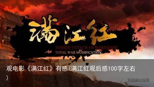 观电影《满江红》有感(满江红观后感100字左右)