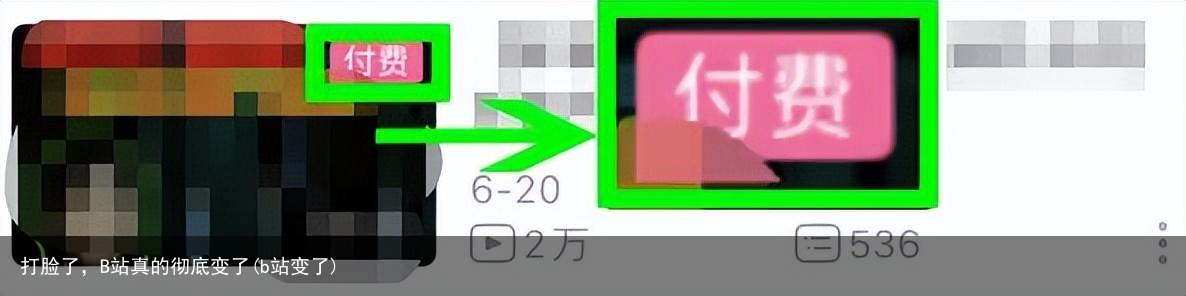 打脸了，B站真的彻底变了(b站变了)