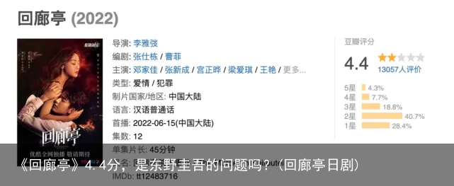 《回廊亭》4.4分，是东野圭吾的问题吗？(回廊亭日剧)