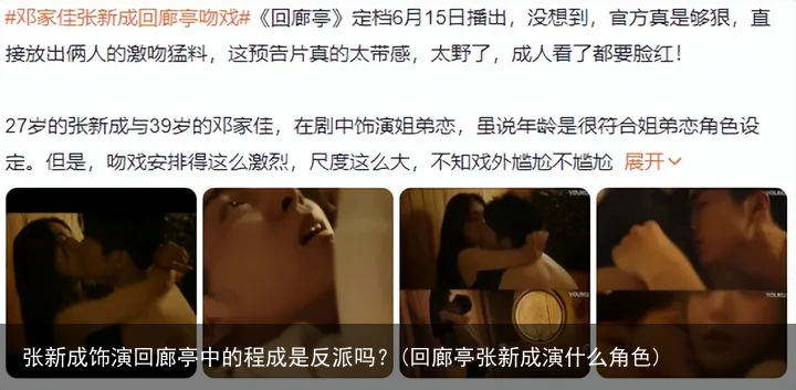 张新成饰演回廊亭中的程成是反派吗？(回廊亭张新成演什么角色)