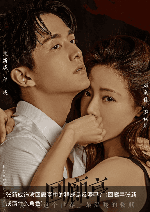 张新成饰演回廊亭中的程成是反派吗？(回廊亭张新成演什么角色)