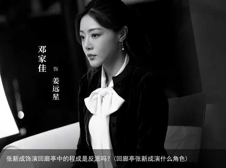 张新成饰演回廊亭中的程成是反派吗？(回廊亭张新成演什么角色)