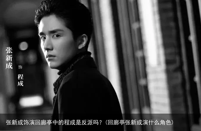 张新成饰演回廊亭中的程成是反派吗？(回廊亭张新成演什么角色)