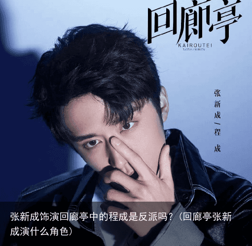 张新成饰演回廊亭中的程成是反派吗？(回廊亭张新成演什么角色)