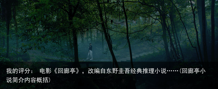 我的评分： 电影《回廊亭》，改编自东野圭吾经典推理小说……(回廊亭小说简介内容概括)