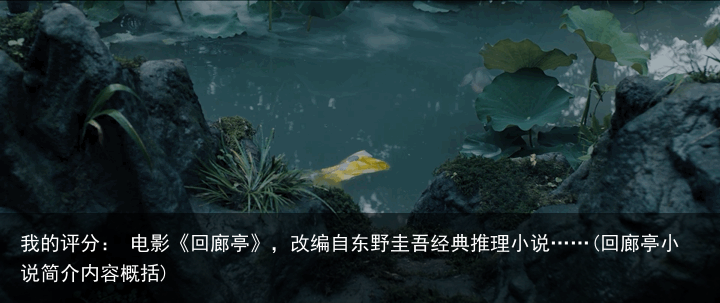 我的评分： 电影《回廊亭》，改编自东野圭吾经典推理小说……(回廊亭小说简介内容概括)