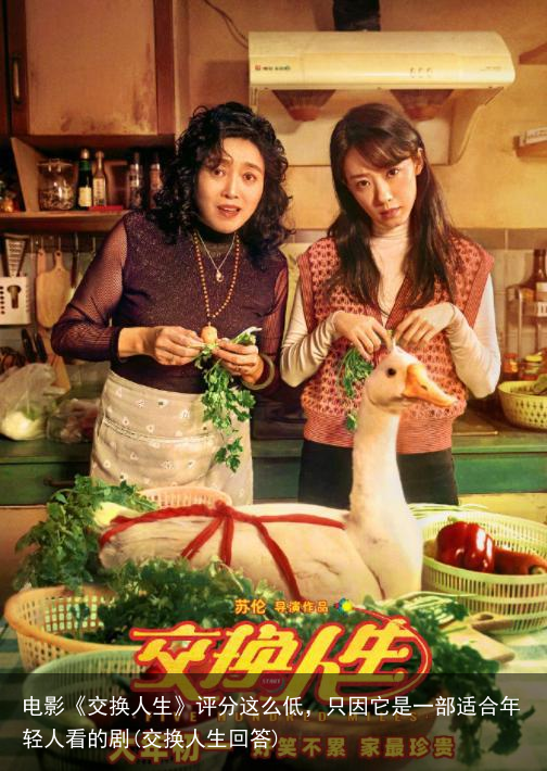 电影《交换人生》评分这么低，只因它是一部适合年轻人看的剧(交换人生回答)