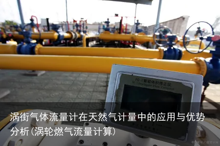 涡街气体流量计在天然气计量中的应用与优势分析(涡轮燃气流量计算)