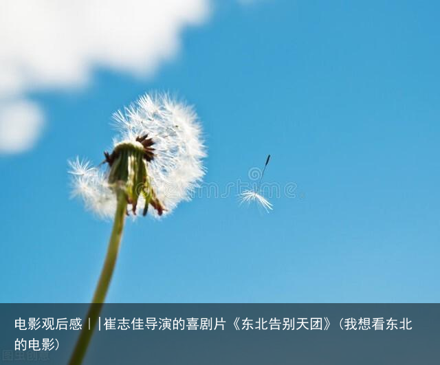 电影观后感｜|崔志佳导演的喜剧片《东北告别天团》(我想看东北的电影)